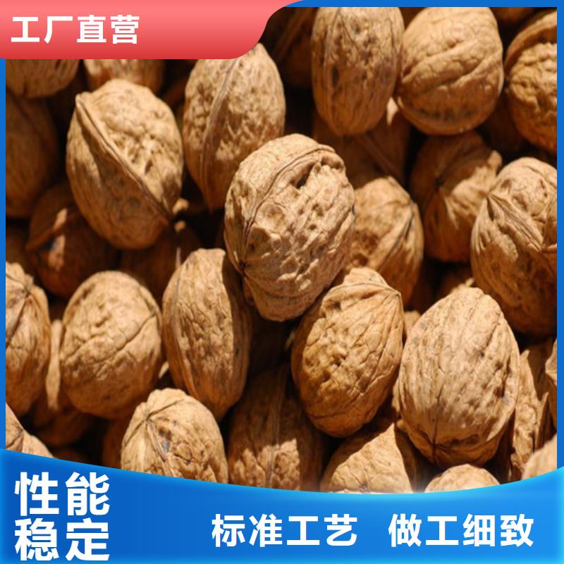 草莓视频-阿拉善|包头|通辽|呼和浩特草莓厂诚信经营-广祥农业科技(乌海市分公司)