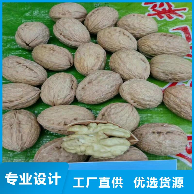 草莓视频-阿拉善|包头|通辽|呼和浩特草莓厂诚信经营-广祥农业科技(乌海市分公司)