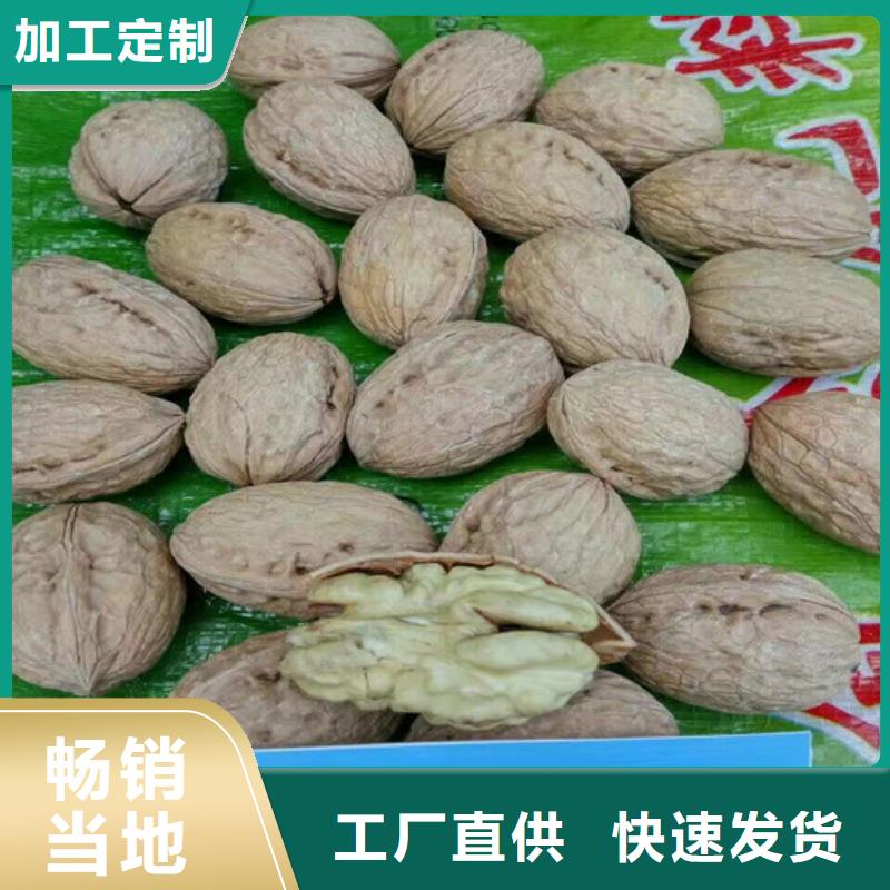 【核桃苗】红蜜桃树苗厂家采购