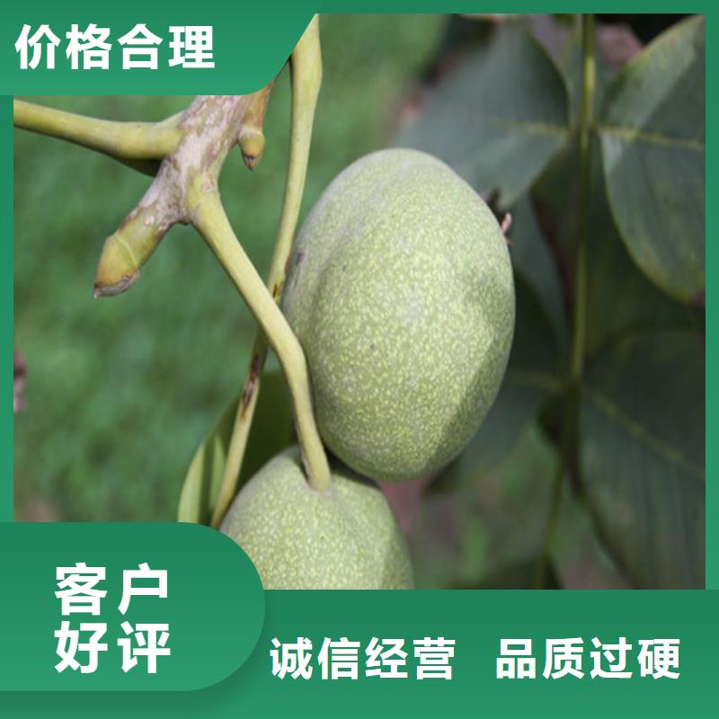 草莓视频-海西|海南|海北|玉树|黄南|西宁广祥草莓_ 广祥农业科技(海东市分公司)