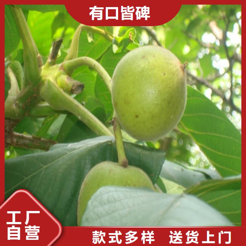 草莓视频-海西|海南|海北|玉树|黄南|西宁广祥草莓_ 广祥农业科技(海东市分公司)
