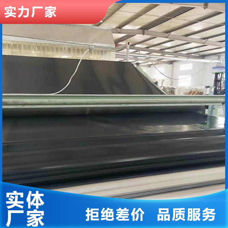土工膜土工布实力工厂