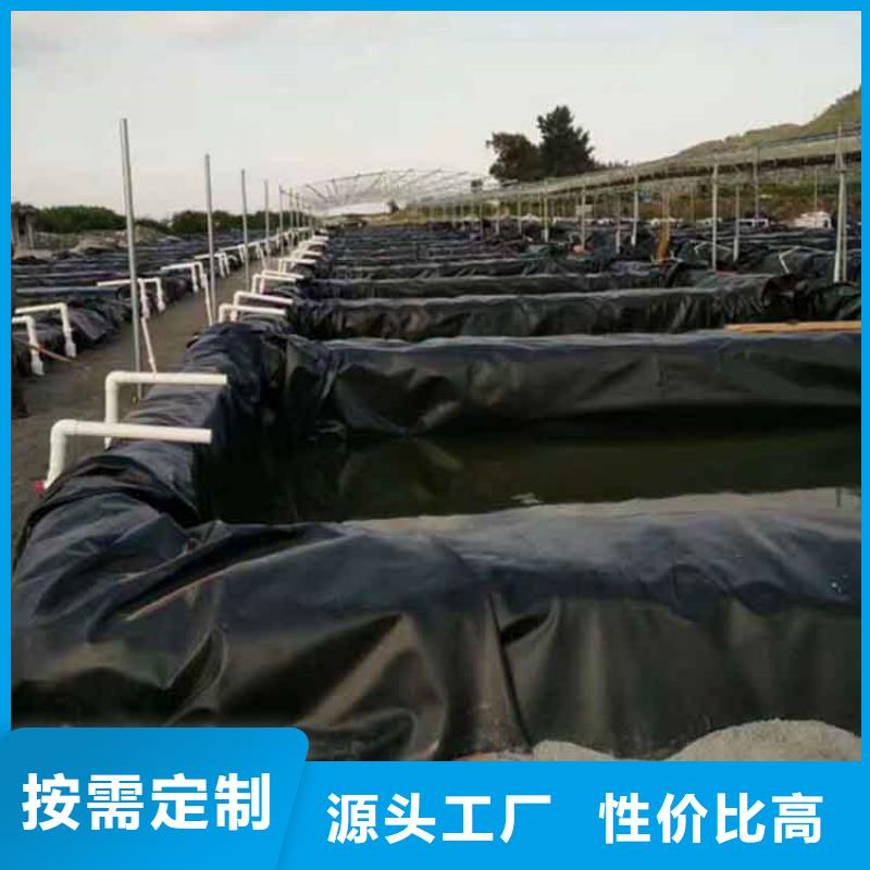 生态袋视频-生态袋_浙江省嘉兴市市场覆盖南湖|平湖|温州|舟山|杭州|台州|金华等