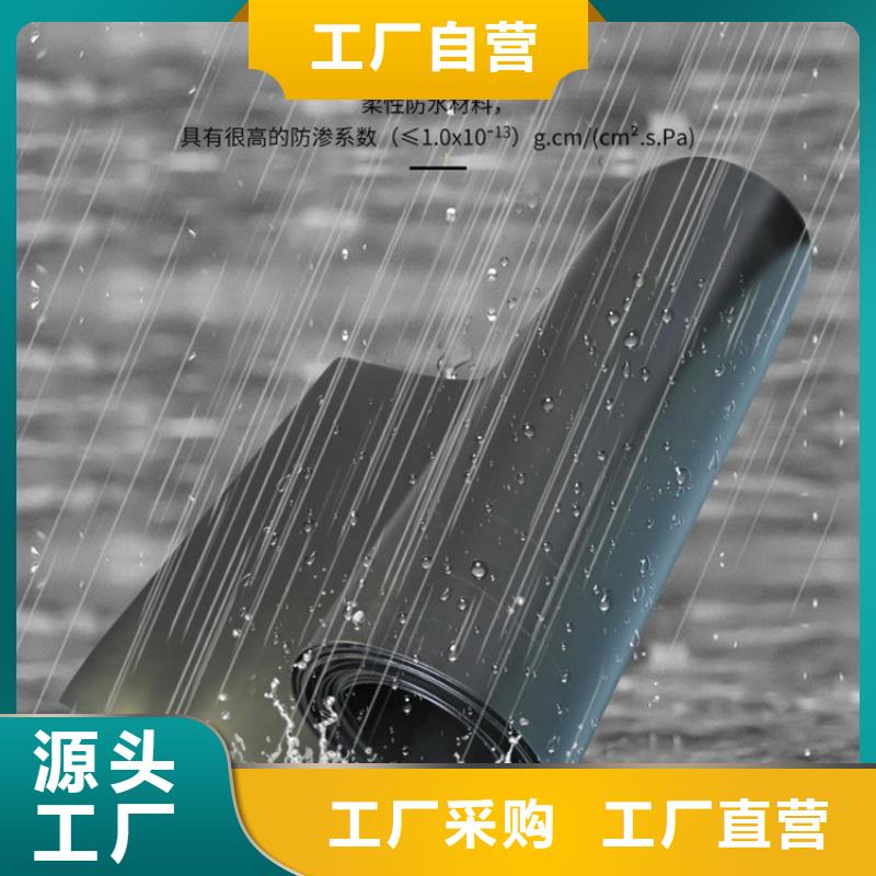 生态袋-视频-伊犁市生态袋|乌鲁木齐|克拉玛依