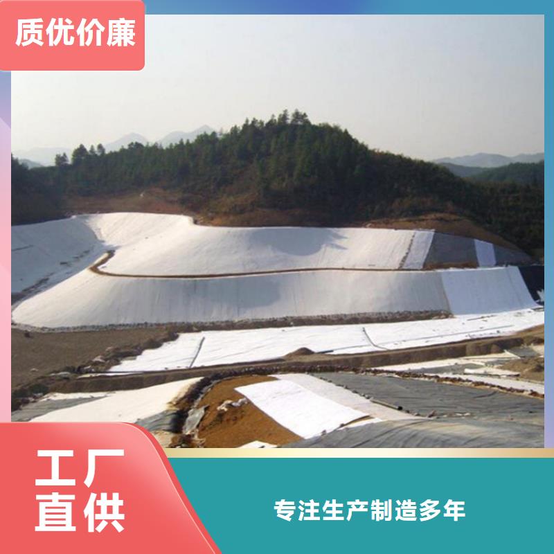 土工膜防渗膜精选优质材料