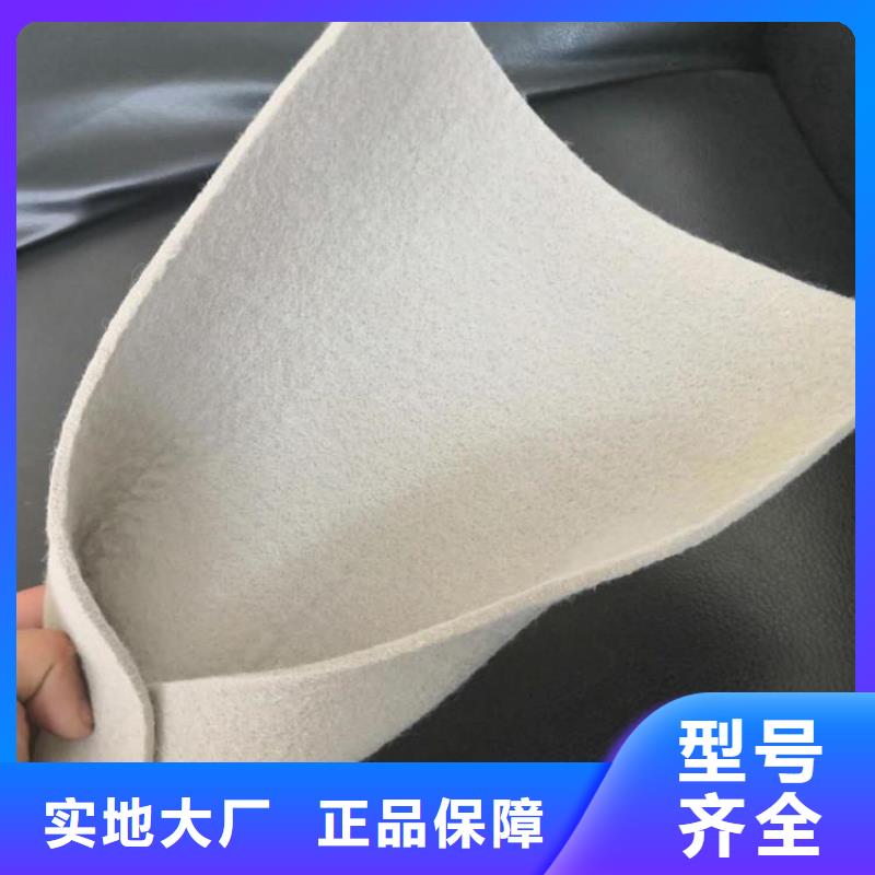 生态袋视频-生态袋|辽宁省沈阳市|辽中|康平|营口|本溪|大连|鞍山