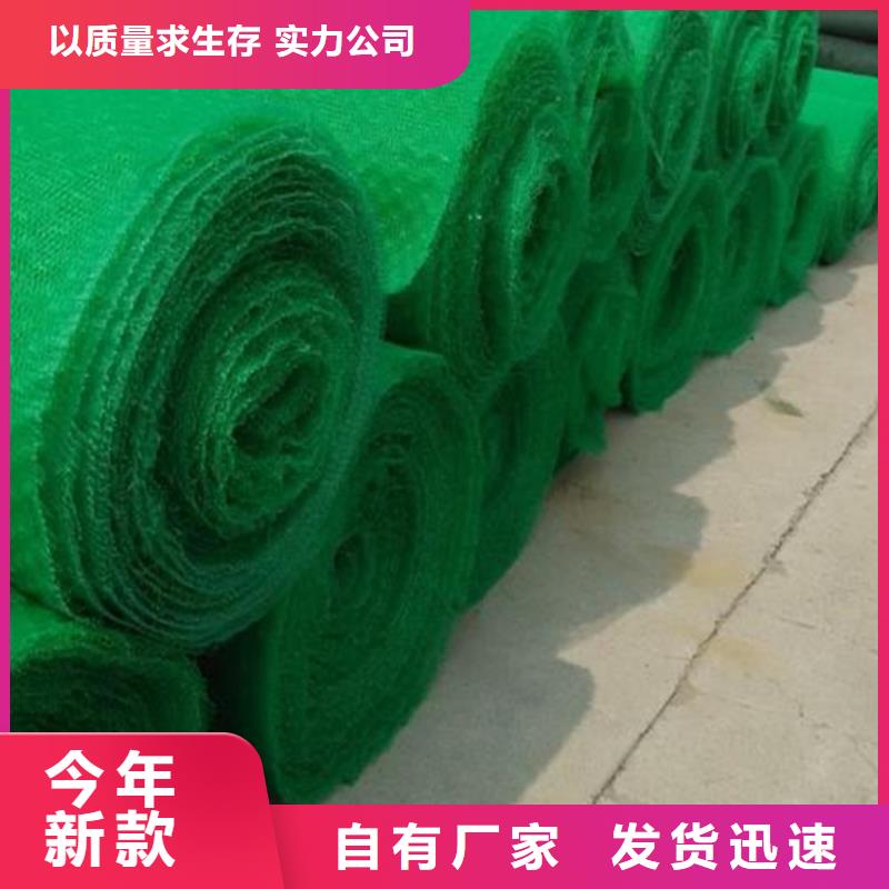 三维植被网【防渗膜】买的放心