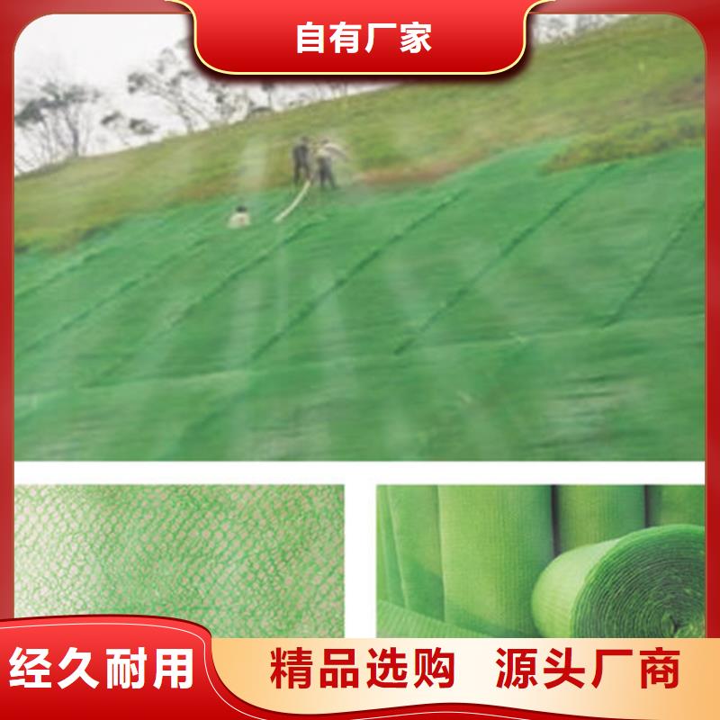 生态袋-视频-湖北省孝感市|应城|汉川|宜昌|鄂州|恩施|荆州生态袋-鼎诺