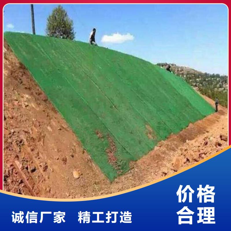 生态袋视频-康保|蔚县|唐山|衡水|邢台|廊坊|保定鼎诺生态袋_ 鼎诺土工材料(张家口市分公司)