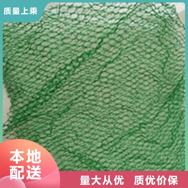 厂家定制【三维植被网】-硬式透水管价格实惠