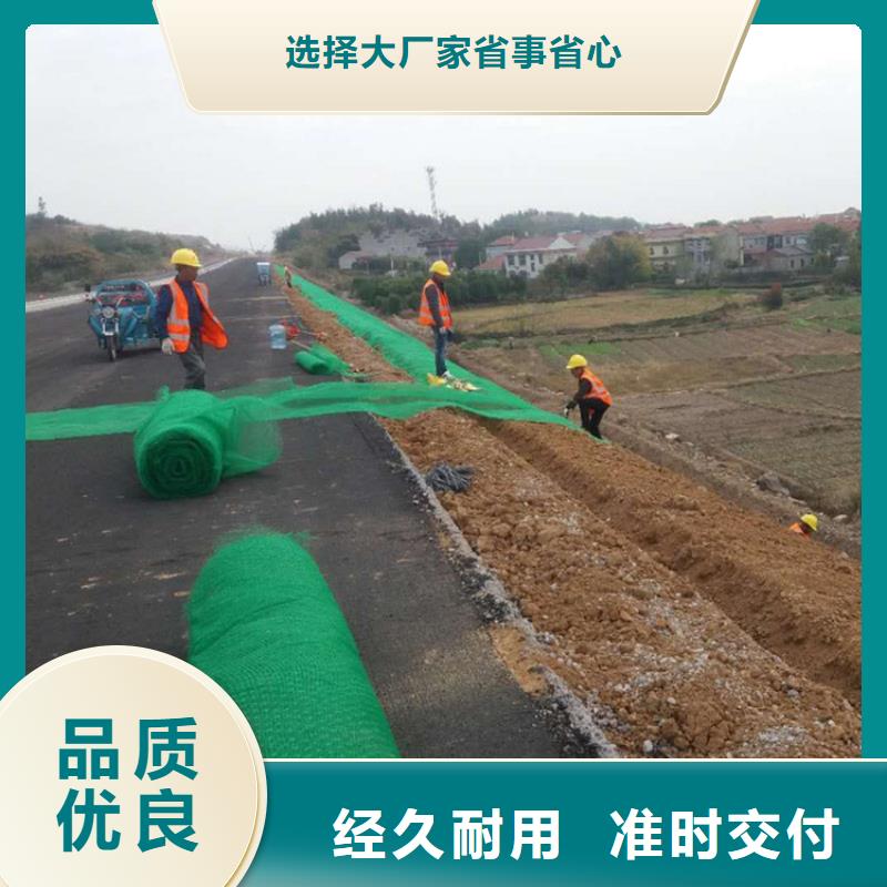 生态袋-视频-湖北省孝感市|应城|汉川|宜昌|鄂州|恩施|荆州生态袋-鼎诺