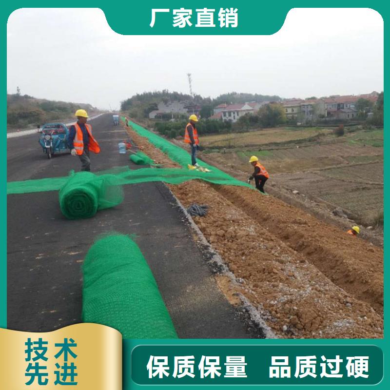三维植被网,土工布好产品好服务