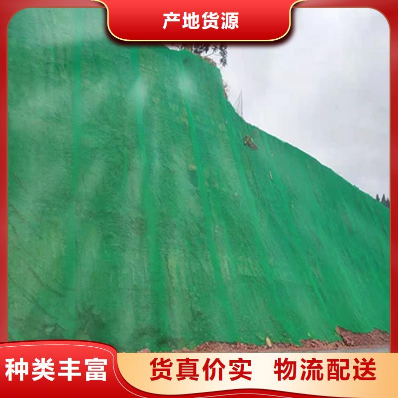 三维植被网-塑料盲沟海量现货