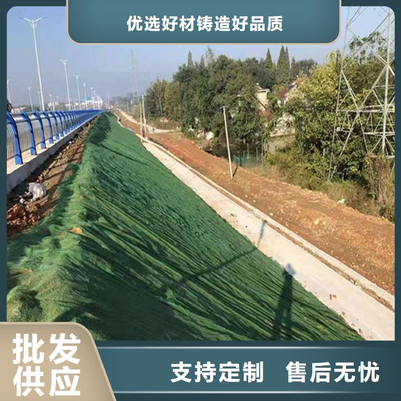 三维植被网【防渗膜】买的放心