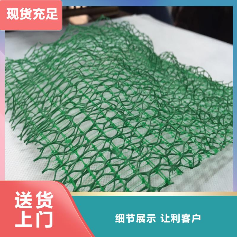 三维植被网-塑料盲沟海量现货