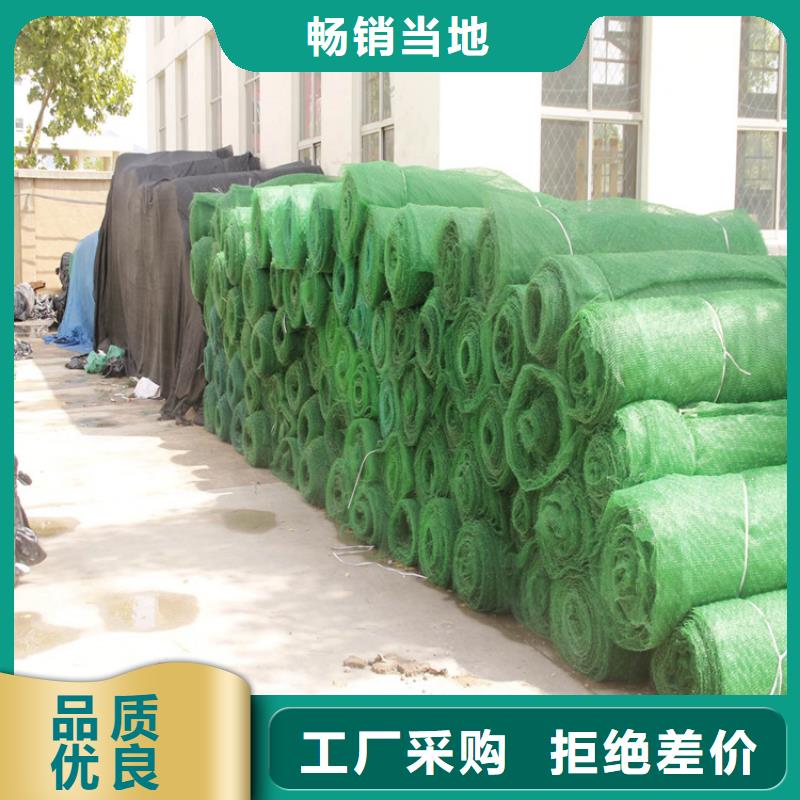 三维植被网-塑料盲沟海量现货