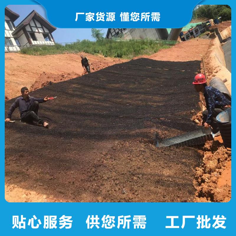 生态袋-视频-生态袋|海北市|玉树|黄南|海东|果洛|西宁