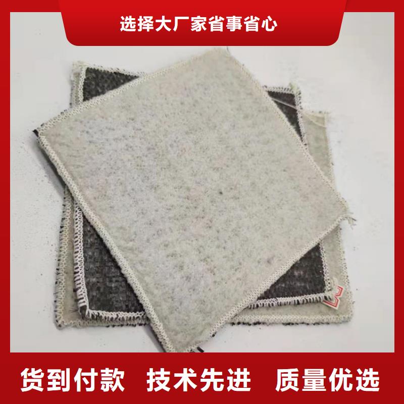 膨润土防水毯防渗土工膜免费安装