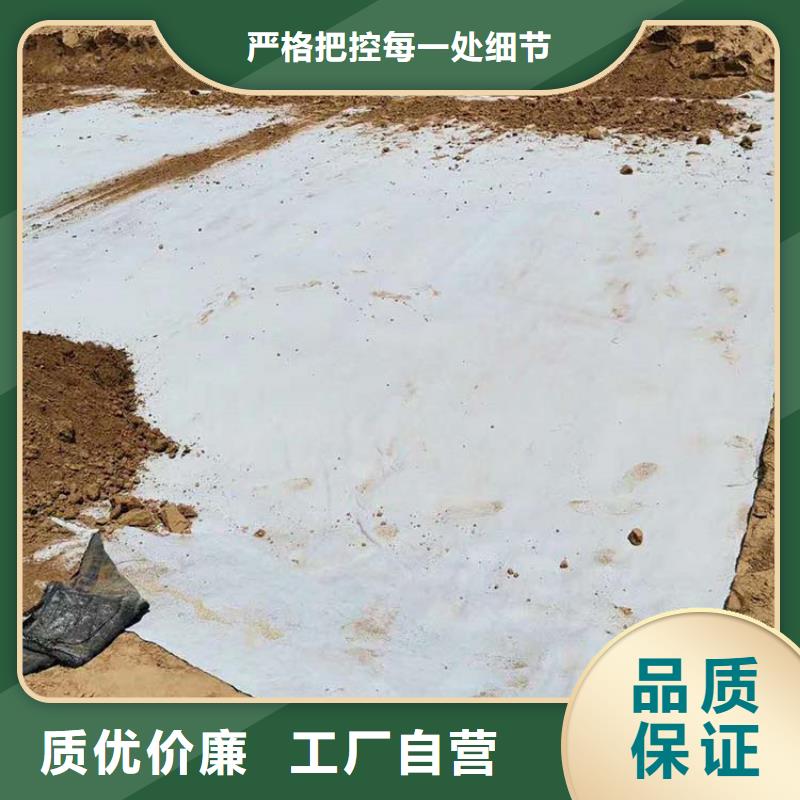 膨润土防水毯土工膜批发商