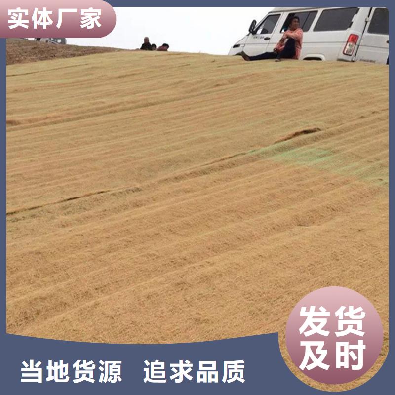 生态袋-视频-广东省阳江市|江城|阳东|韶关|江门|汕头|惠州生态袋-鼎诺