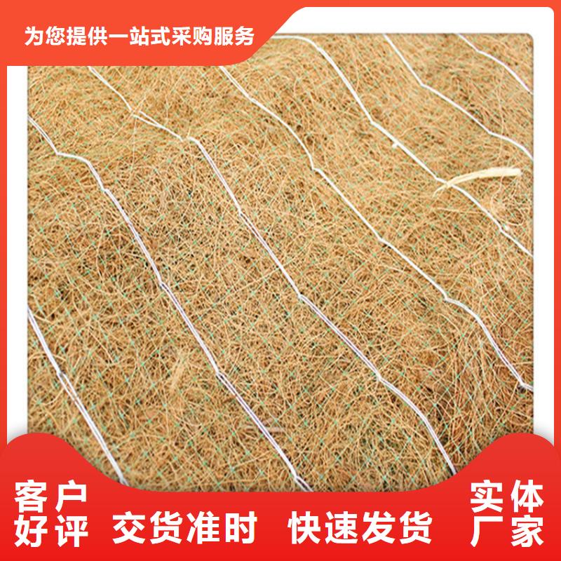 生态袋视频-生态袋-广西省南宁市本地生产厂家-西乡塘|武鸣|防城港|百色|玉林|桂林