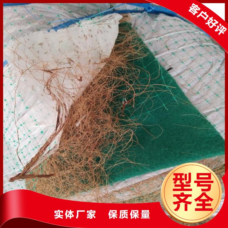 生态袋-视频-广东省阳江市|江城|阳东|韶关|江门|汕头|惠州生态袋-鼎诺