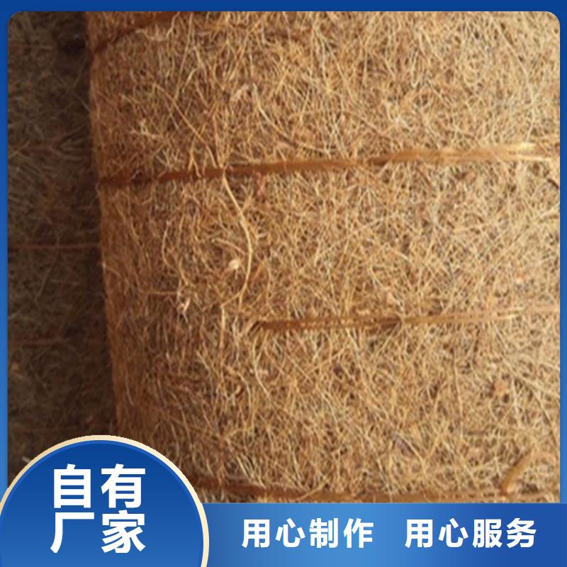 生态袋视频-生态袋-广西省南宁市本地生产厂家-西乡塘|武鸣|防城港|百色|玉林|桂林