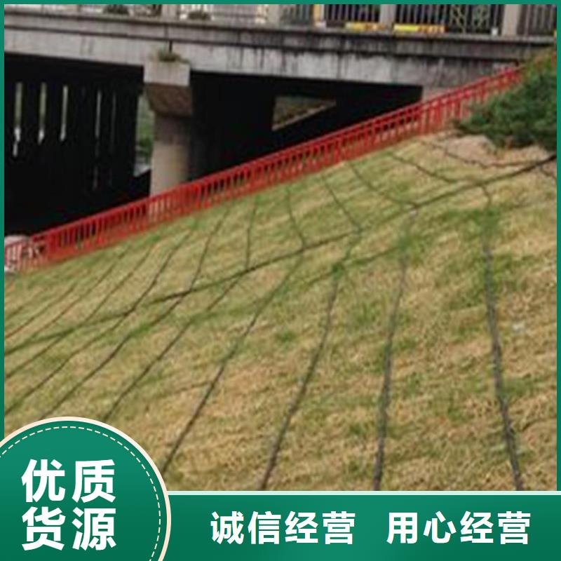 (鼎诺): 【实力雄厚品质保障 椰丝毯 土工布放心选购】加工定制-v651.com