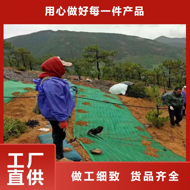 生态袋视频-兰州市生态袋-【同城】可服务区域永登|七里河|临夏|白银|嘉峪关|武威
