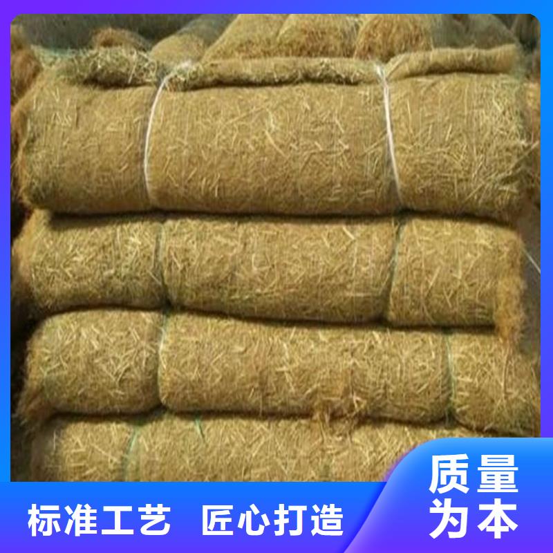 生态袋-视频-广东省阳江市|江城|阳东|韶关|江门|汕头|惠州生态袋-鼎诺