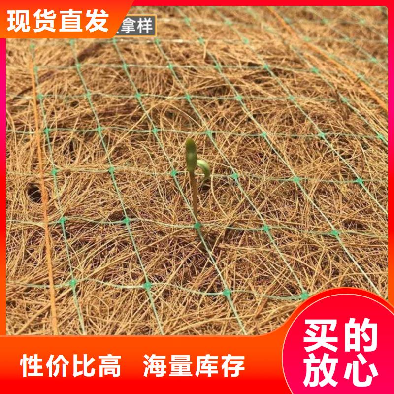 生态袋视频-生态袋-广西省南宁市本地生产厂家-西乡塘|武鸣|防城港|百色|玉林|桂林
