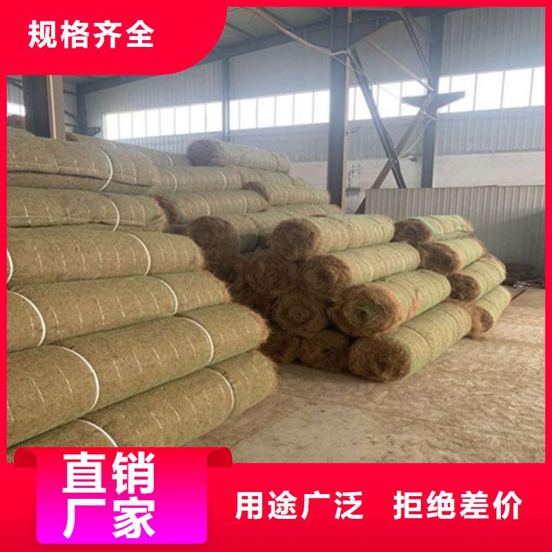 生态袋视频-兰州市生态袋-【同城】可服务区域永登|七里河|临夏|白银|嘉峪关|武威