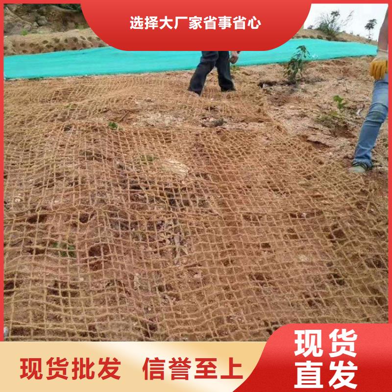 生态袋视频-兰州市生态袋-【同城】可服务区域永登|七里河|临夏|白银|嘉峪关|武威