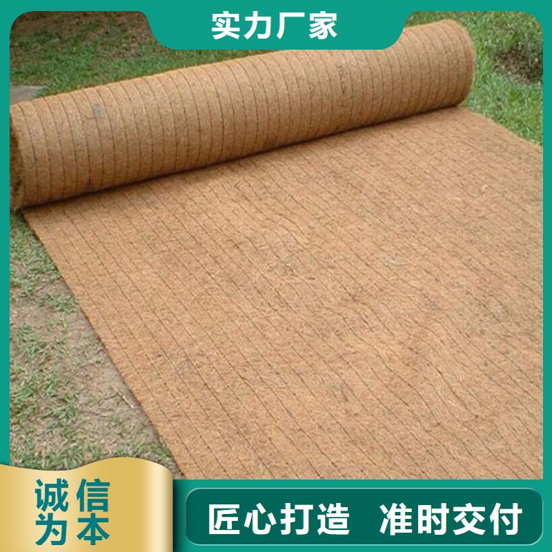 生态袋视频-生态袋-广西省南宁市本地生产厂家-西乡塘|武鸣|防城港|百色|玉林|桂林