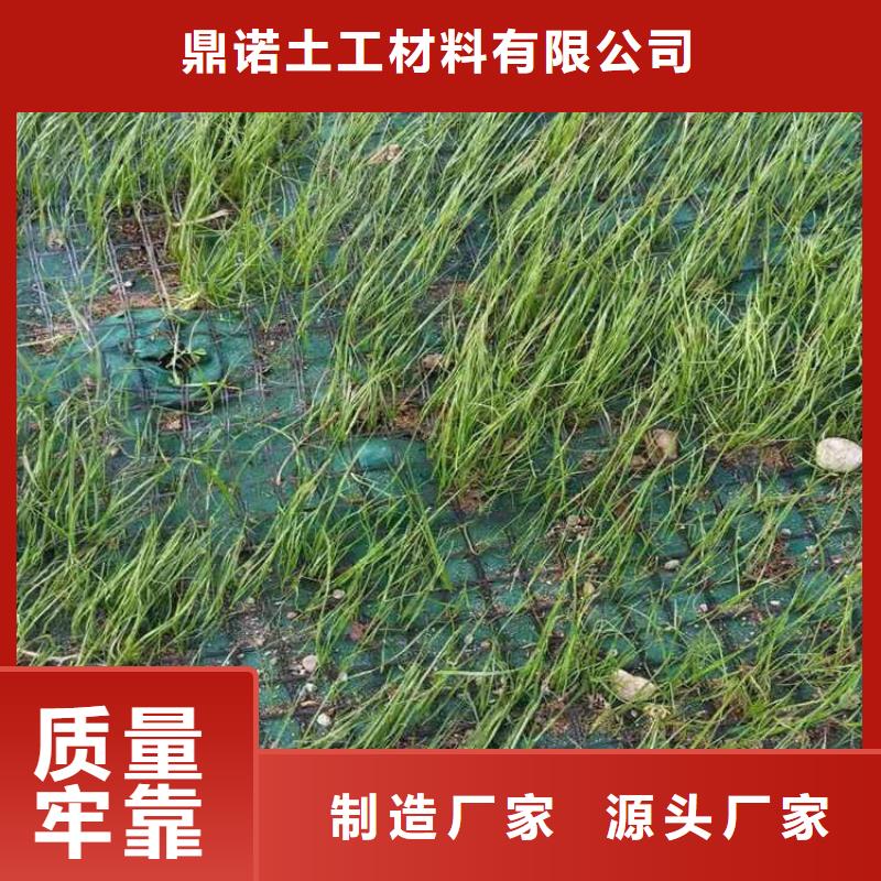 生态袋视频-生态袋-广西省南宁市本地生产厂家-西乡塘|武鸣|防城港|百色|玉林|桂林