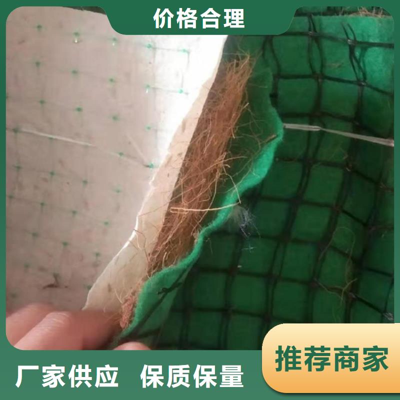 生态袋-视频-广东省阳江市|江城|阳东|韶关|江门|汕头|惠州生态袋-鼎诺