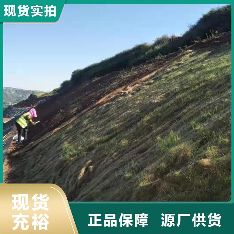 生态袋-视频-广东省阳江市|江城|阳东|韶关|江门|汕头|惠州生态袋-鼎诺