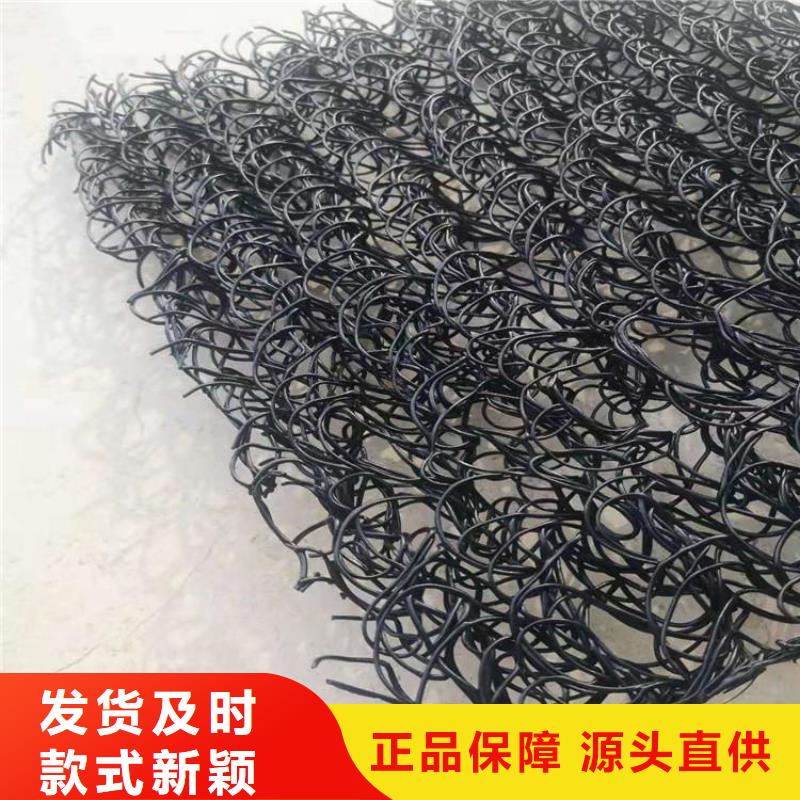 生态袋视频-生态袋-鼎诺土工材料(揭阳市分公司)服务区域揭东|惠来|肇庆|云浮|梅州|东莞|珠海|江门|汕头