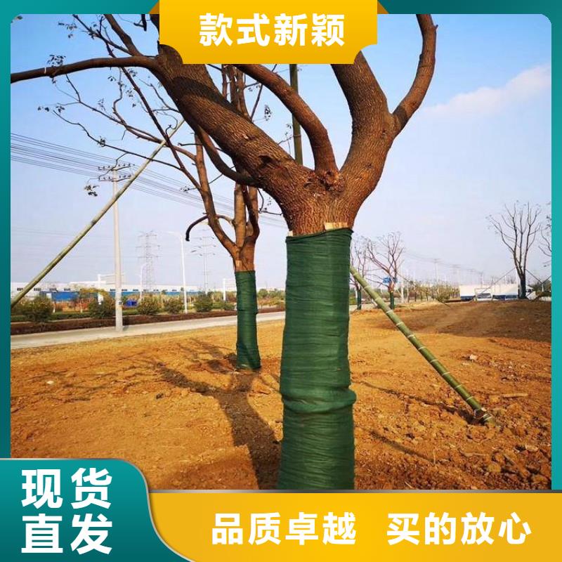 生态袋视频-生态袋-西藏拉萨市墨竹工卡|达孜|日喀则|那曲|阿里|林芝|昌都|山南(附近)生产厂家