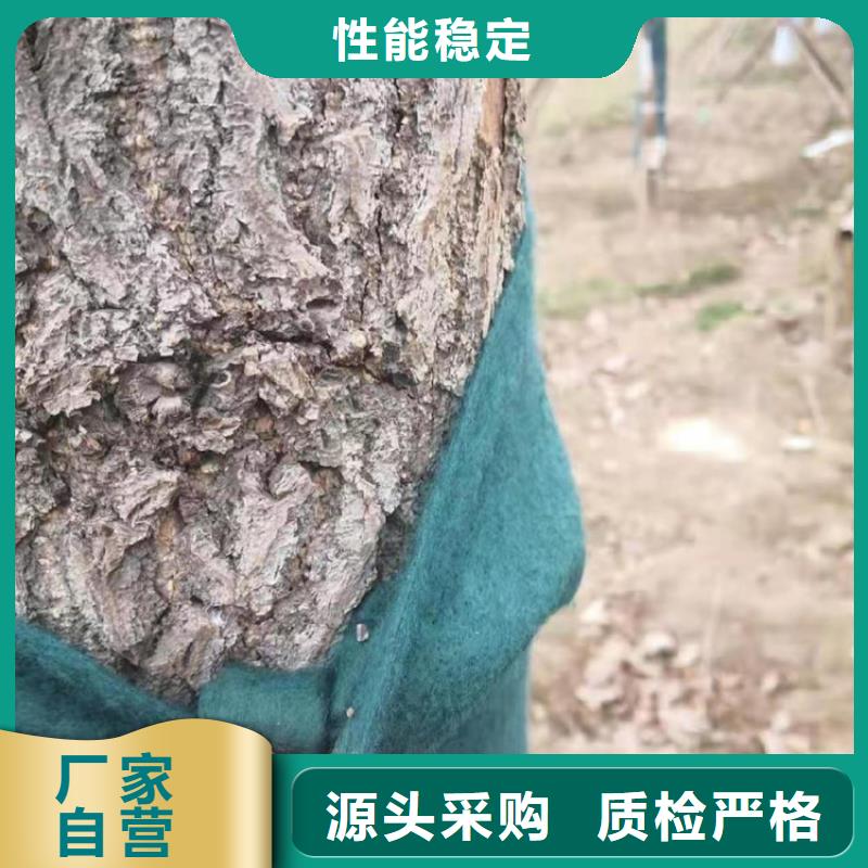 裹树布,土工膜大厂生产品质