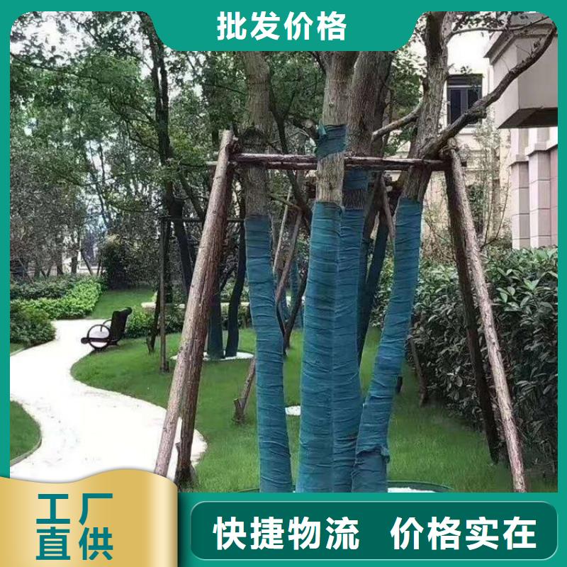 裹树布_软式透水管联系厂家