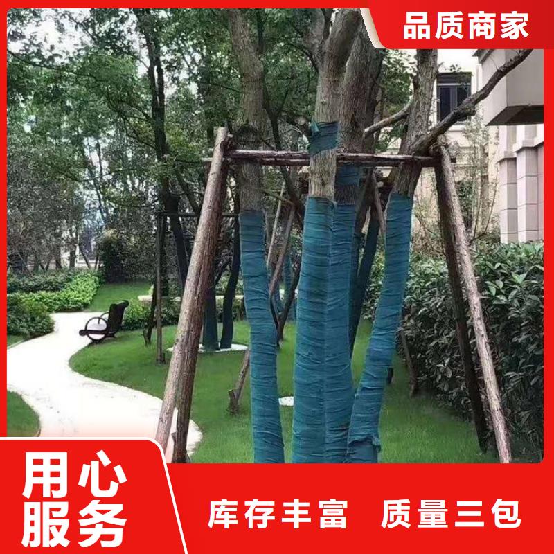生态袋-视频-连云港市生态袋-鼎诺土工材料(连云港市分公司)服务区域灌云|海州|淮安|南京|常州|苏州|宿迁|镇江