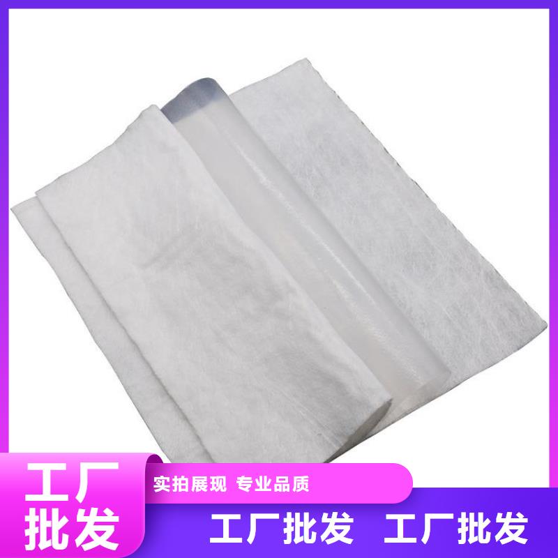 聚酯长丝土工布-视频-安徽省滁州市|定远|天长|安庆|巢湖|合肥|宣城聚酯长丝土工布-中齐