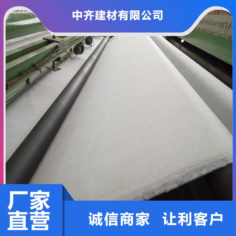 聚酯长丝土工布-视频-安徽省滁州市|定远|天长|安庆|巢湖|合肥|宣城聚酯长丝土工布-中齐
