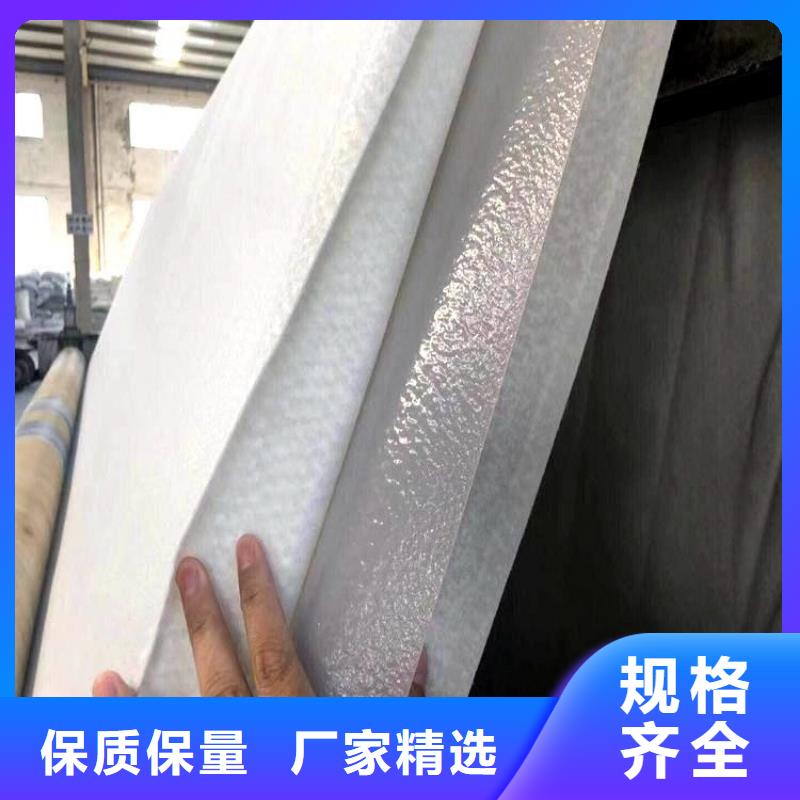 当地分类和特点 土工布【土工格栅】一周内发货_快捷物流