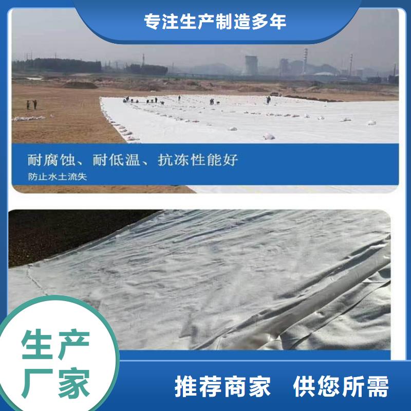 土工布生态带品质过硬