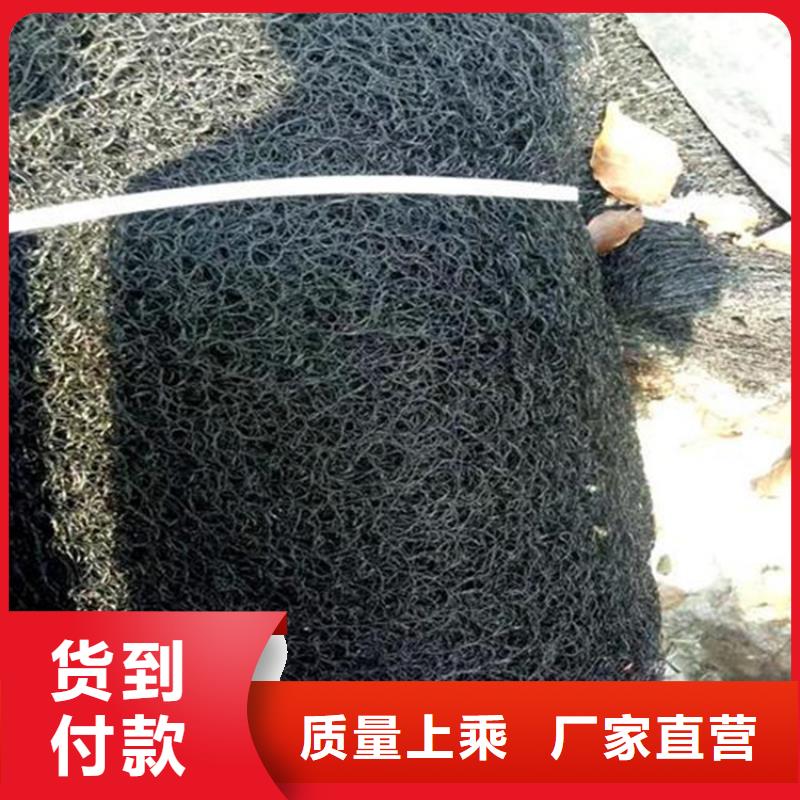 聚酯长丝土工布-视频-厦门市聚酯长丝土工布|集美|湖里|南平|漳州|莆田|宁德|三明|福州|泉州