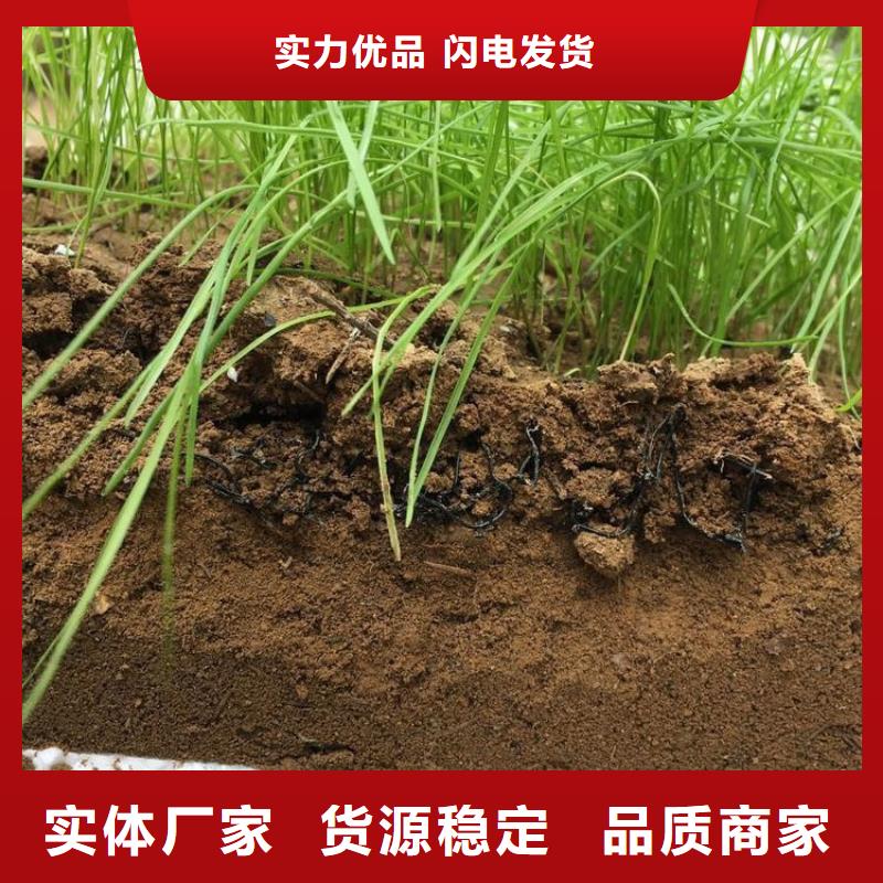 水土保护毯软式透水管价格实惠工厂直供