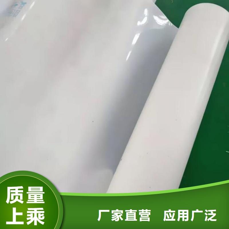 聚酯长丝土工布视频-聚酯长丝土工布(中齐)覆盖地域广东省湛江市廉江|坡头|佛山|东莞|阳江|广州|肇庆|惠州|汕头