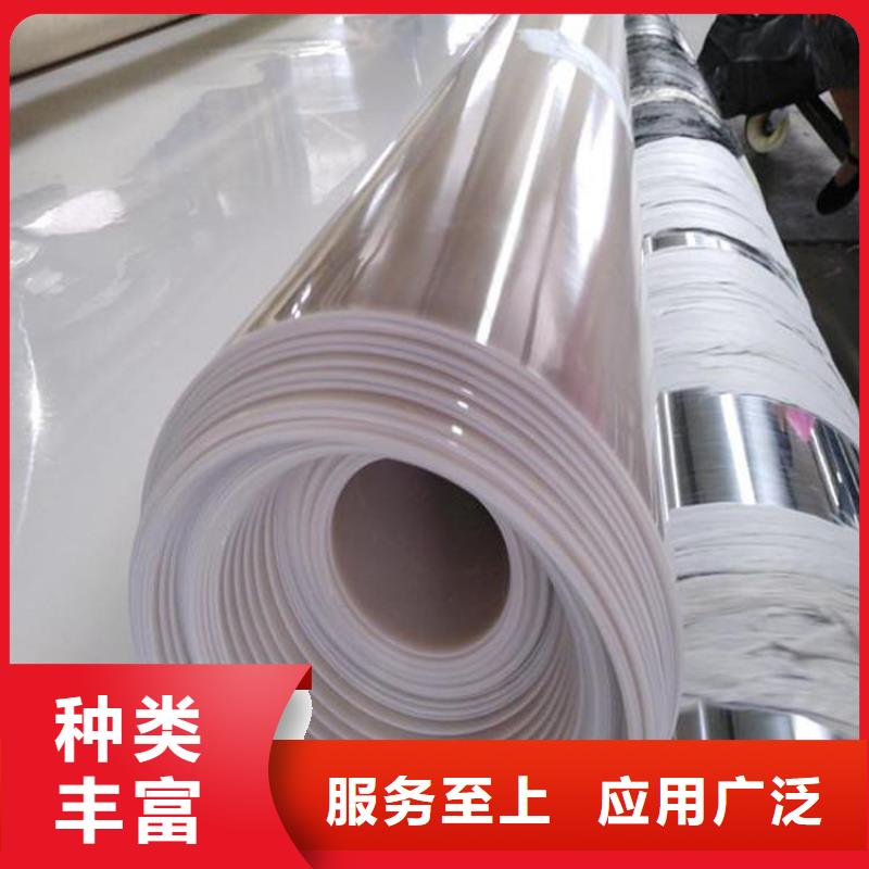 聚酯长丝土工布视频-聚酯长丝土工布(中齐)覆盖地域广东省湛江市廉江|坡头|佛山|东莞|阳江|广州|肇庆|惠州|汕头